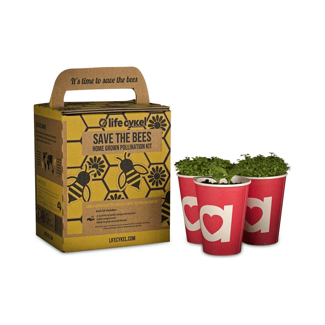 Life Cykel Bee Pollination Kit - Anjelstore