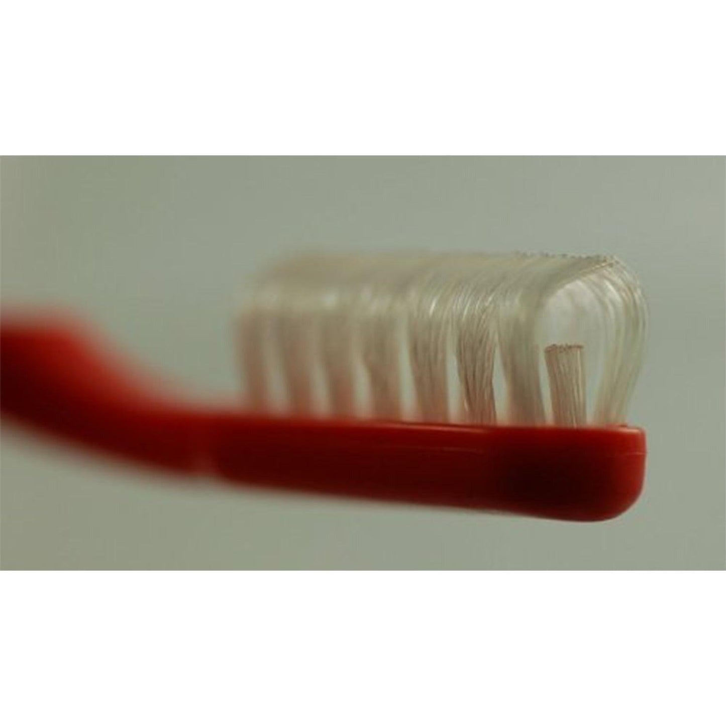 Collis-Curve (TM) Toothbrush Baby and Youth Toothbrush - Anjelstore