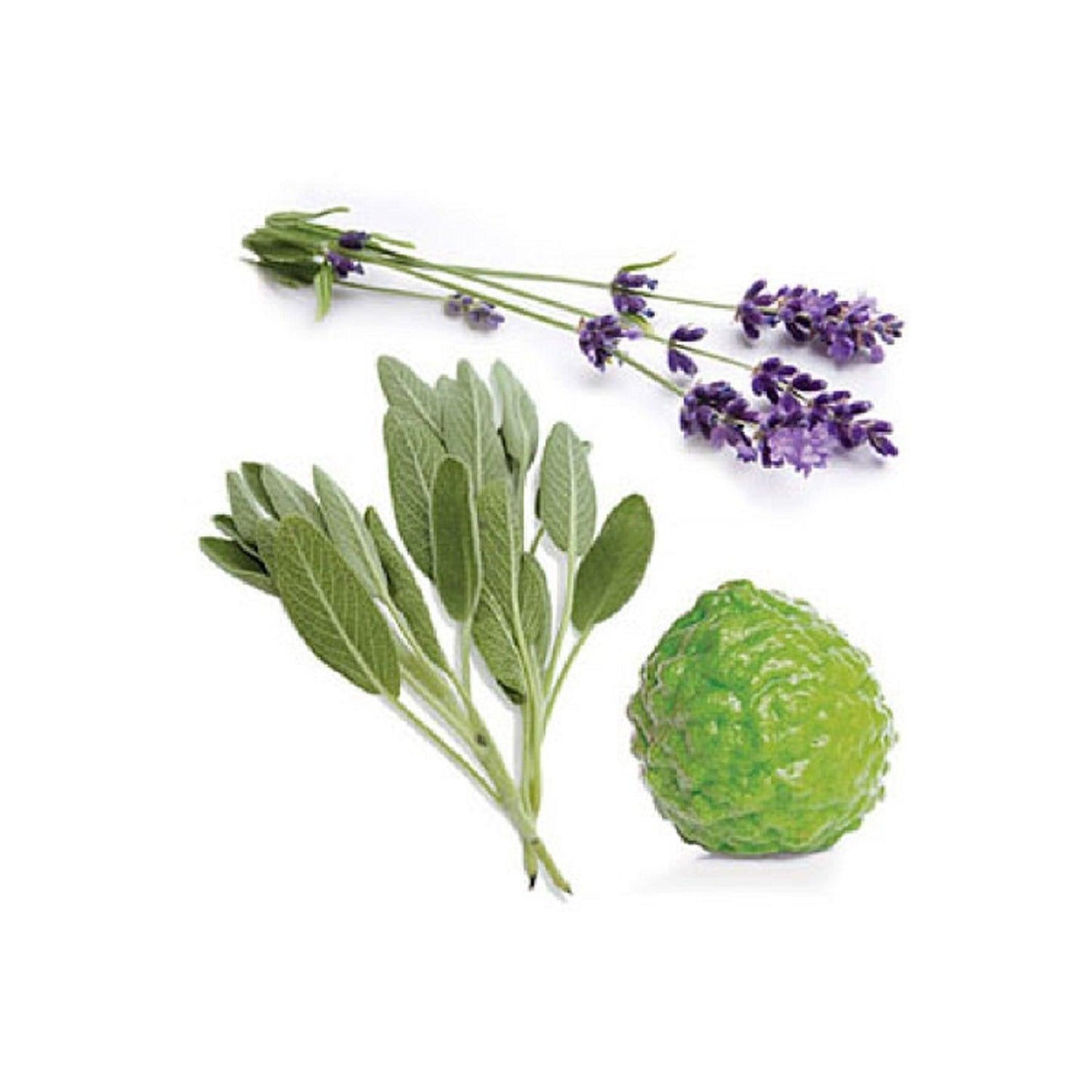 dōTERRA ClaryCalm® Monthly Blend for Women roll-on 10ml - Anjelstore