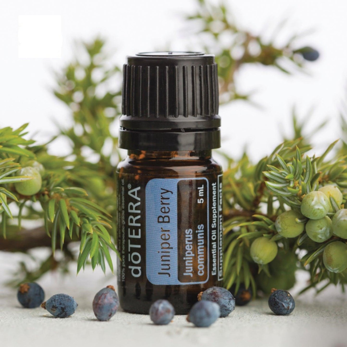 dōTERRA Juniper Berry Essential Oil 5ml - Anjelstore