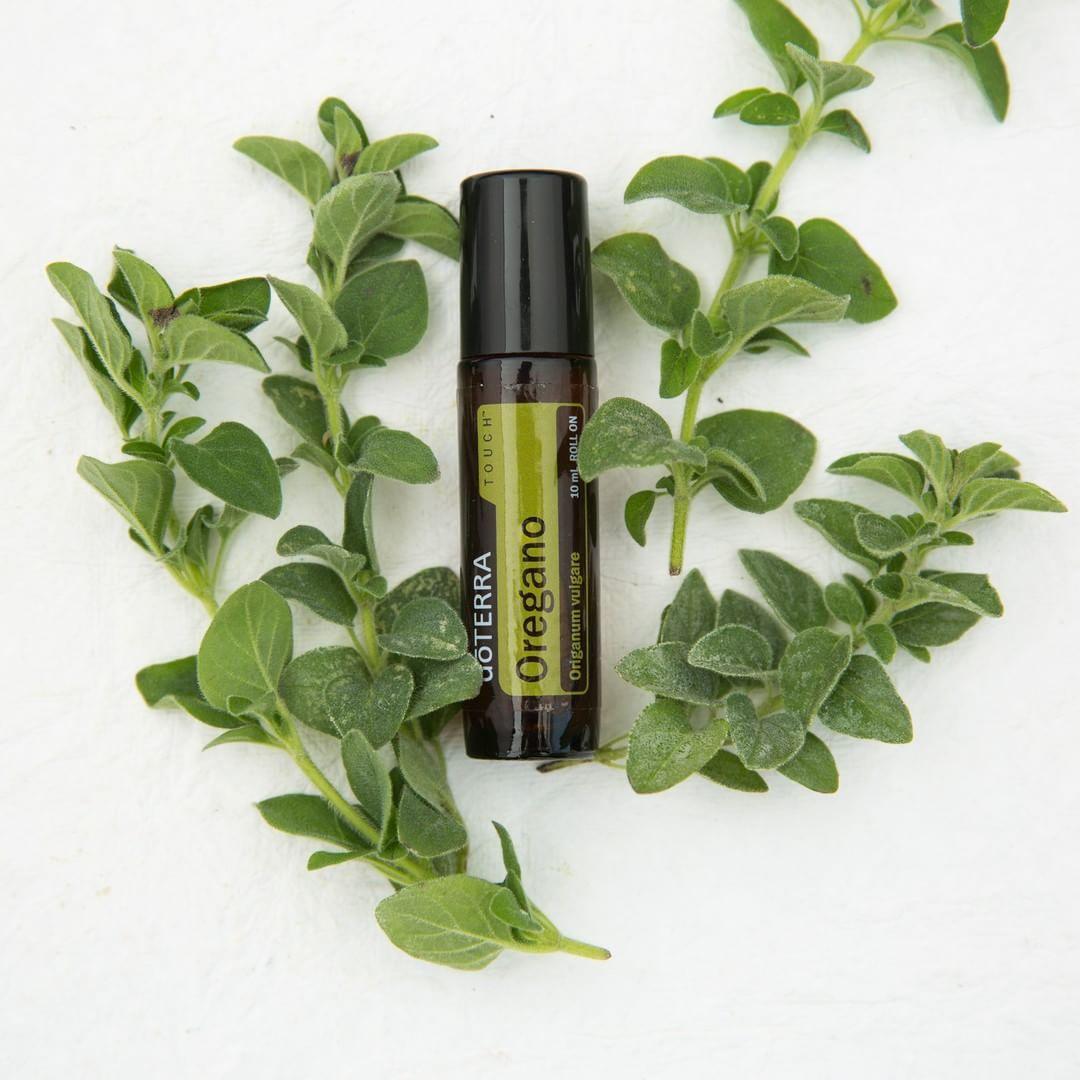 dōTERRA Oregano Touch Roll-on 10 ml - Anjelstore