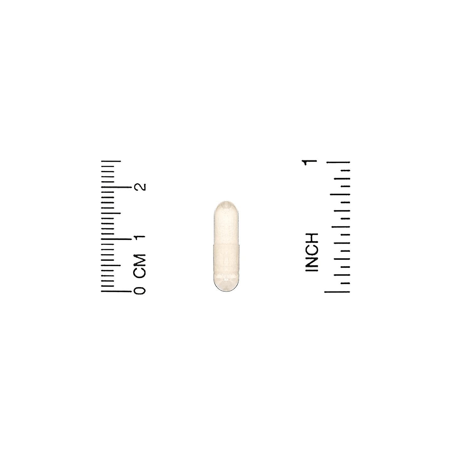 Serrapeptase - Proteolytic Enzyme for Healthy Immune System (120,000 SPUs) - Anjelstore