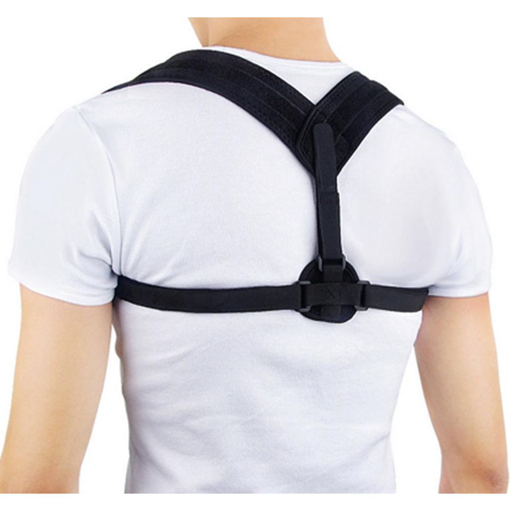 Axign Back Support - Anjelstore 