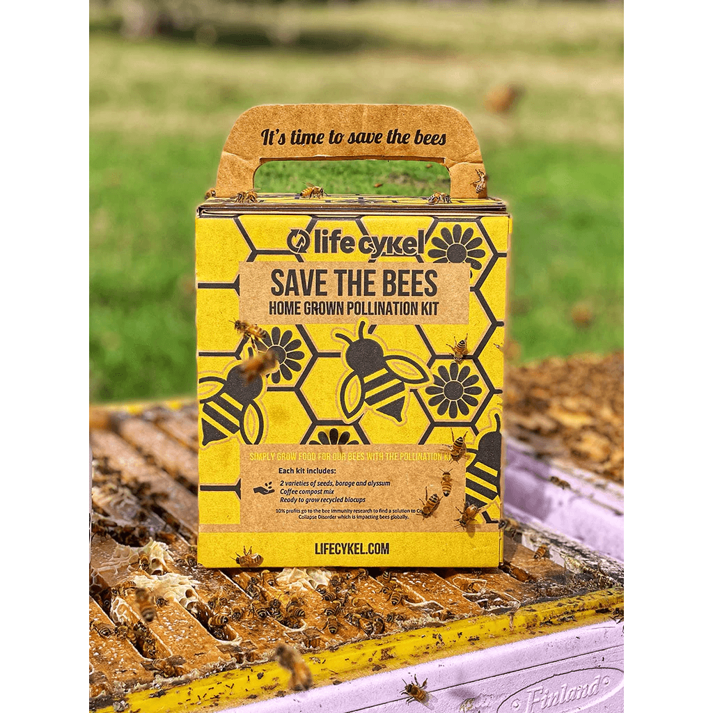 Life Cykel Bee Pollination Kit - Anjelstore 