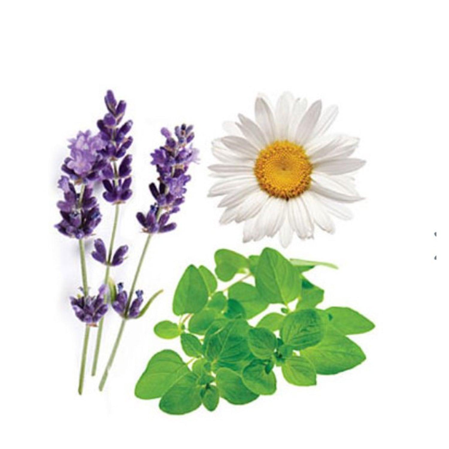 dōTERRA Lavender Peace® Restful Blend 15ml essential oil - Anjelstore 