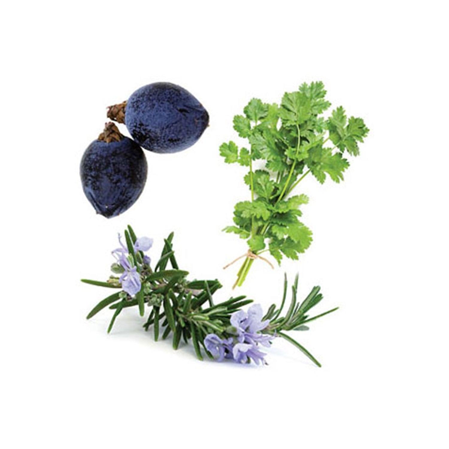 dōTERRA Zendocrine® Restart Blend essential oil 15ml - Anjelstore 